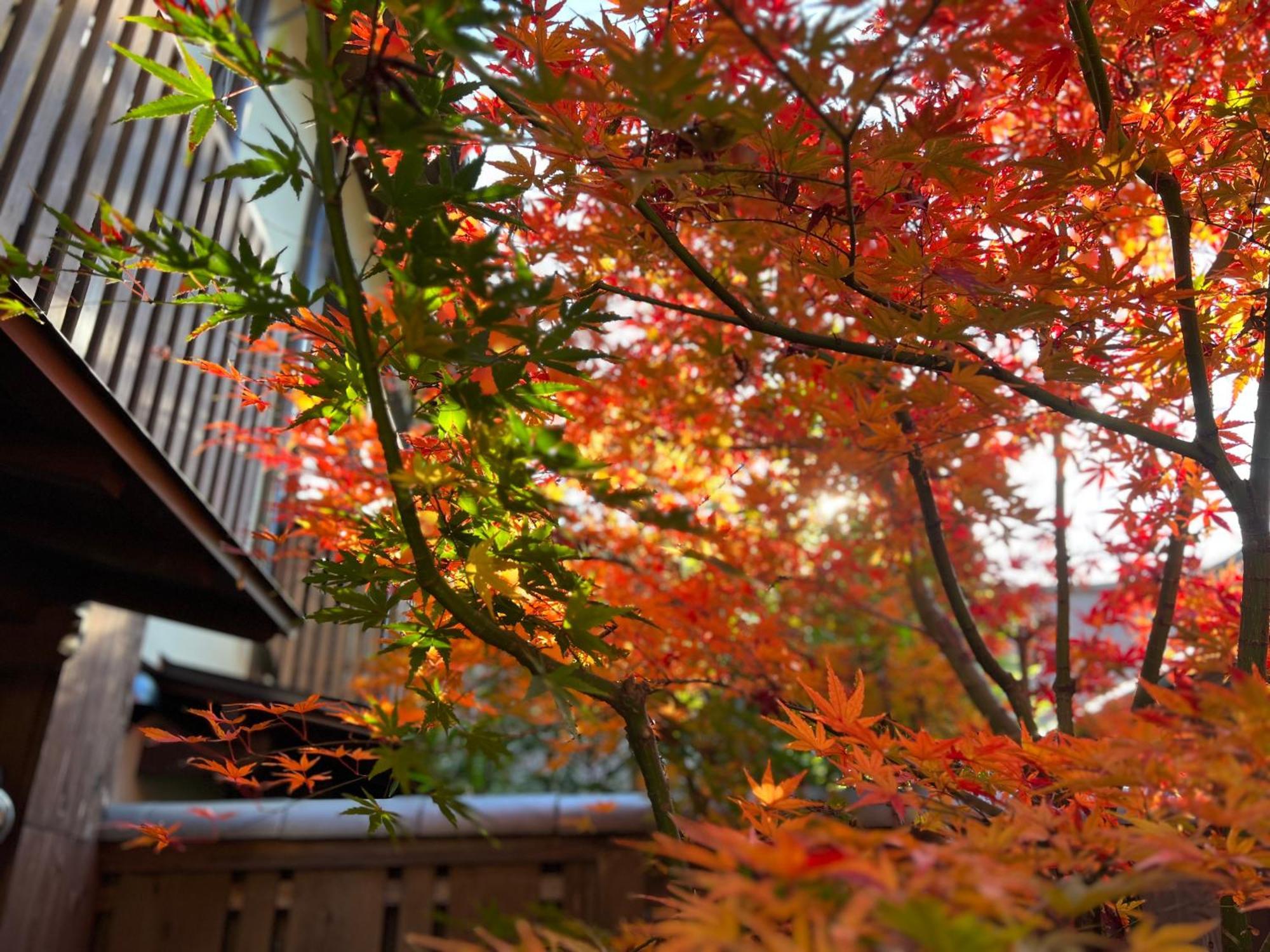 Imakumano Terrace - Dohachi An 道八庵 Villa Kiotó Kültér fotó